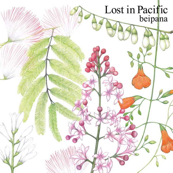 beipana / Lost in Pacific